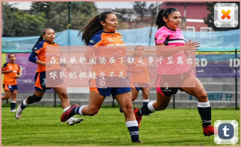森林狼热闹场面下缺乏华子显露出球队的粗糙与不足